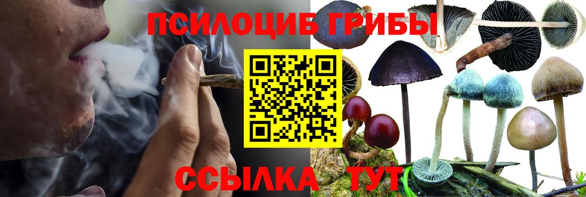 Азов  Галлюциногенные грибы Magic Shrooms  Вход с VPN 
